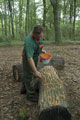Click to see it big Ich mit Kettensäge, Impression aus dem Wald